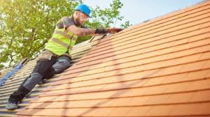 Best Roof Moss and Algae Removal  in West Melbourne, FL